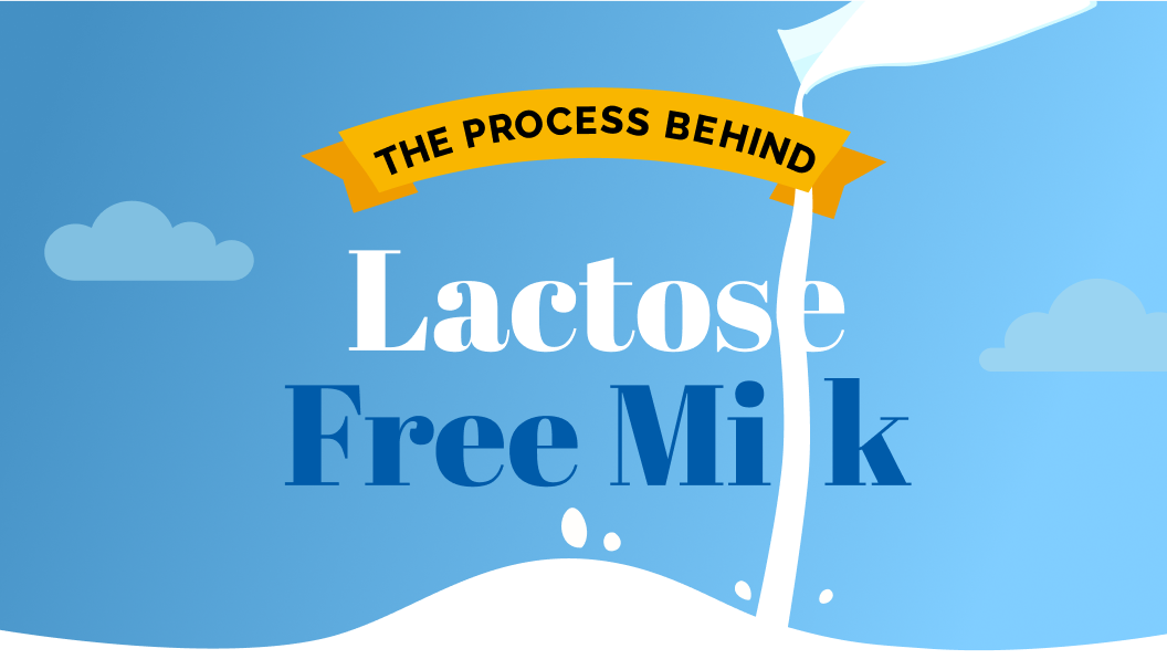 The process behind Lactose Free Milk
