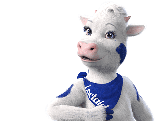 Vaca de LACTAID con ojos azules, manchas azules y una bandana azul de la marca